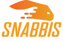 snabbis casino logo